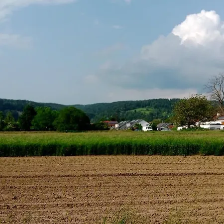 In Daire Grenzach-Wyhlen